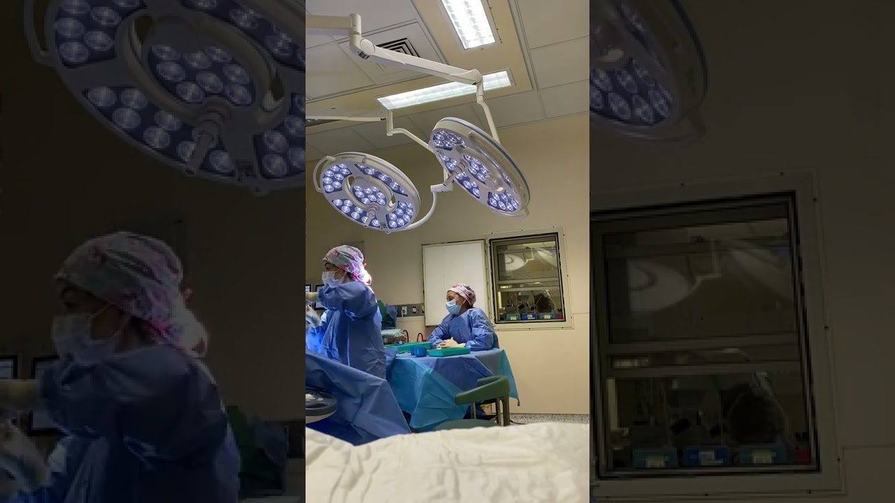 Daniela Estrada García-7