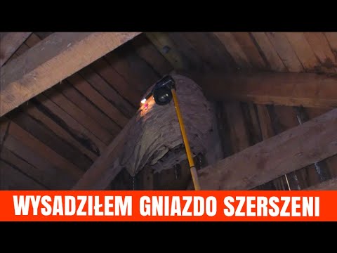 FIRECKARD IN THE HORNET'S NEST