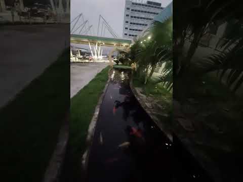 #pernambuco #tacaimbó #turismo #youtubeviral #brasil