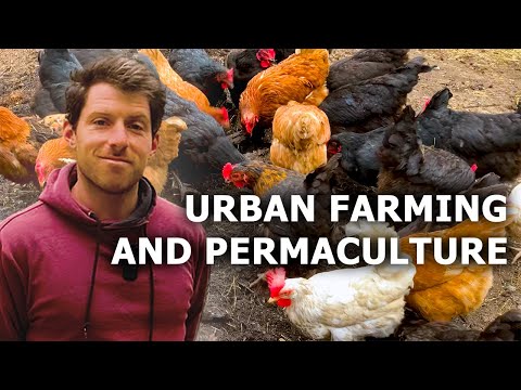 How Farming is Done in European Cities 🇪🇺