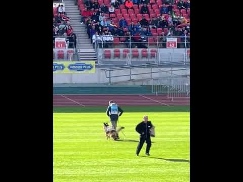 V2 Mio vom Team Hühnegrab - BAZS 2022 Nurnberg- TSB - Bite work -