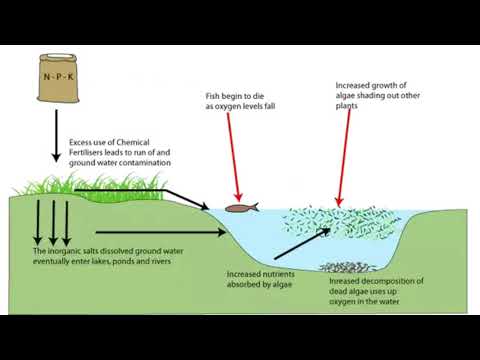 8.4 Eutrophication