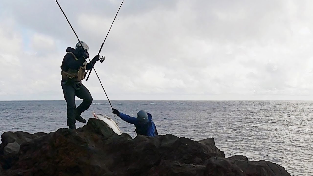 紫陽花が咲く頃に現れた卑怯者