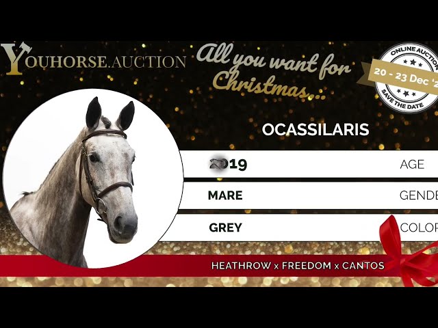 Ocassilaris Trainings Video