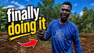 Download lagu WE ARE FINALLY PREPARING FOR PLANTING OVER 1000 SEEDLINGS 🌱OF FRUITS mp3 Download lagu WE ARE FINALLY PREPARING FOR PLANTING OVER 1000 SEEDLINGS 🌱OF FRUITS mp3