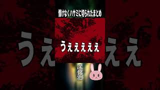 【深夜廻】ここのハサミのボスに情けなく切られたまとめ！ #shorts