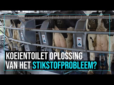 , title : 'Waarom koeienpoep scheiden de oplossing kan zijn voor het stikstofprobleem'