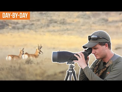 Endless Antelope, But Where Are The Bucks? | Oregon Pronghorn (EP.3)