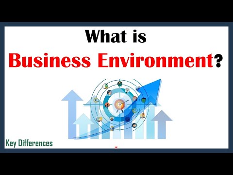 What is Business Environment Definition, Salient Feaures and Components