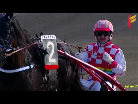 II Corsa del 17 Dicembre 2022 - Campionato Italiano Gentlemen 1 - Metri 1600