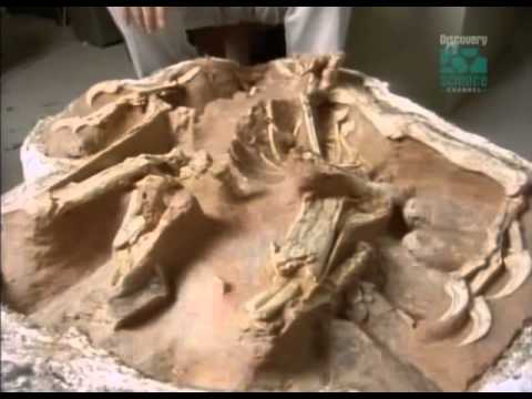 Paleoworld - Baby Monsters
