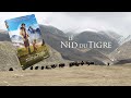 Le Nid Du Tigre Bande Annonce Sortie DVD