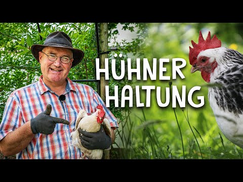 , title : 'So kann jeder Hühner halten! 🐓- Nutztierhaltung im eigenen Garten für den Selbstversorger'