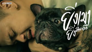 ยิ่งเมายิ่งคิดถึง – เสือเก้า