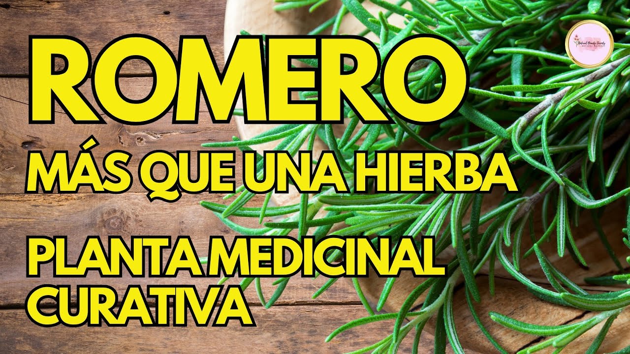 DOCUMENTAL EL ROMERO LA PLANTA MEDICINAL que Obra Milagros