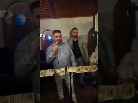 Kocica Khére mamo gyors Palika Lorenzó