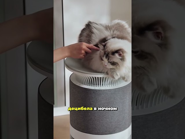 Превью видеоролика