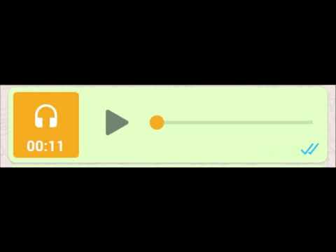 WhatsApp Audio #1