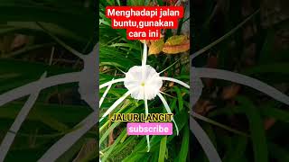 Download lagu Qs Maryam Mengatasi masalah# Jalur langit# Baca tiap malam# vidio shorts# wong ndeso mp3 Download lagu Qs Maryam Mengatasi masalah# Jalur langit# Baca tiap malam# vidio shorts# wong ndeso mp3