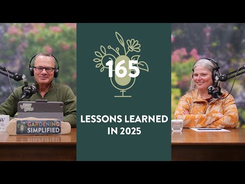 What We Learned in 2025 | 165