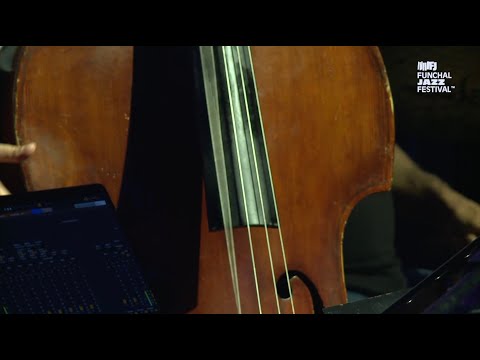 Relativity (Midi Accordion solo) live at Funchal Jazz Festival | João Barradas Trio