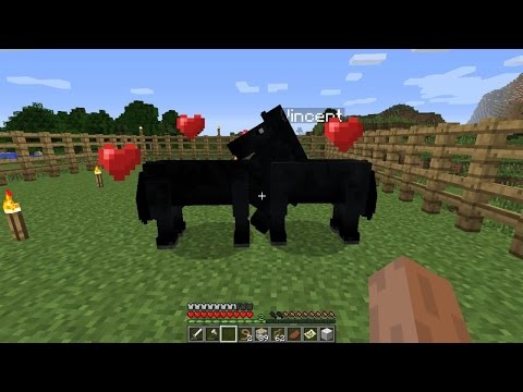 Minecraft - Baby Horse!