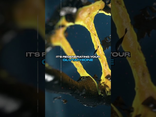 Nutristat Na-R-Lipoic Acid – 40x Better Absorption Than Standard ALA?