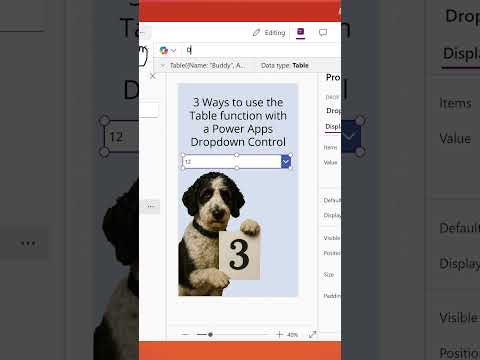 Power Apps Table Tricks: 3 Essential Uses You Need to Know Power Apps Table Tricks: 3 Essential Uses You Need to Know