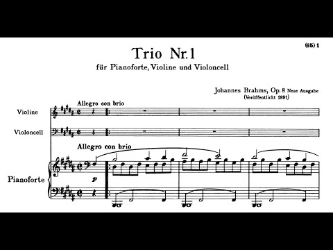 Johannes Brahms - Piano Trio No. 1 in B Major, Op. 8