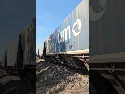 Trem de Fertilizantes passando pela PN do Km 125 dm Pindorama-SP