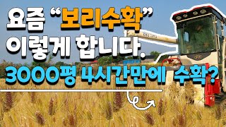 보리 수확 현장, 3000평을 4시간만에 콤바인으로? - the harvest of barley