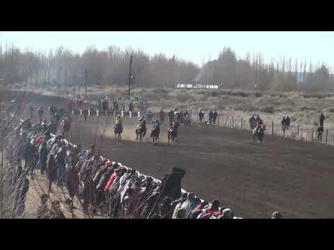 VENON  Club Hípico Cabo Alarcón - Picun Leufu - 27/08/2023