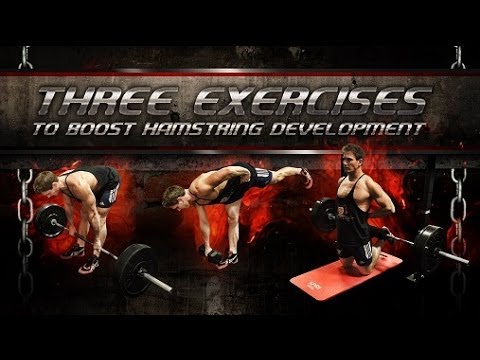 Muscular Strenght Title