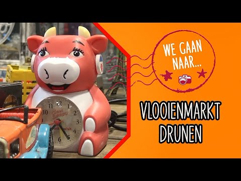 Mega Vlooienmarkt Drunen 2023 (We gaan naar...) - Langstraat TV