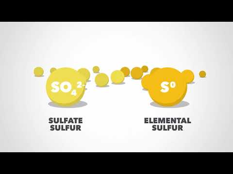 Fundamentals of Sulfur