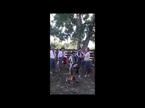 Os Quatro Gaúchos e Dionísio Costa - A Cordeona do Furquim