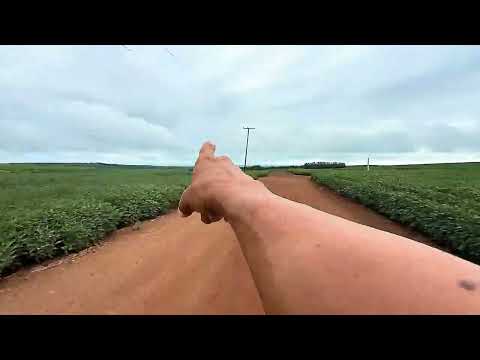 Estradão batido do norte do Paraná!!!Bela Vista Cedro em Itambaracá Pr 