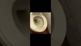 Download lagu Toilet Ratπππ mp3 Download lagu Toilet Ratπππ mp3
