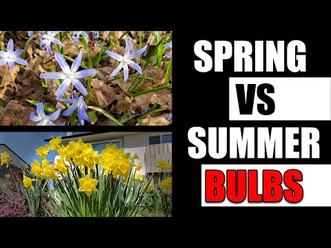 , title : 'Spring vs Summer Bulbs - Garden Quickie Episode 109'