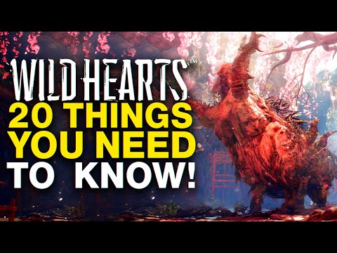 20 Things to know BEFORE starting Wild Hearts