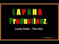 Lucky Dube - The One 