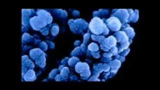 FRANK ZAPPA  ... SEX