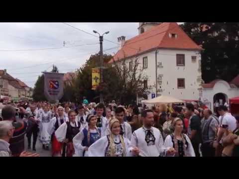 Intalnirea sasilor Sebes 2014