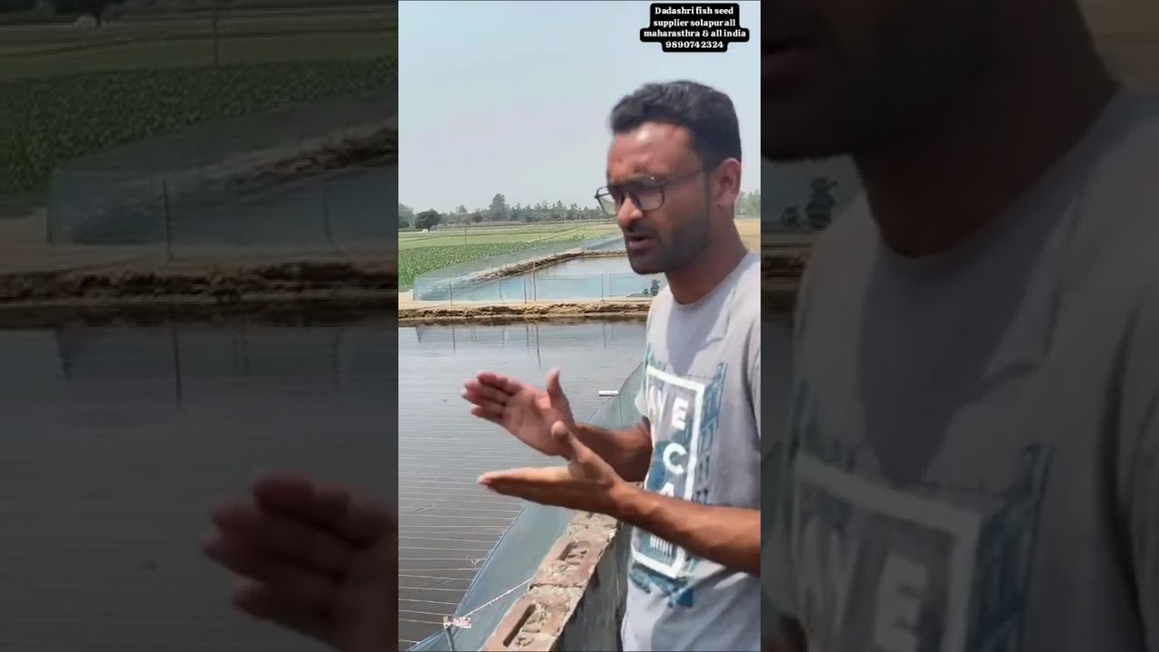 मछली का तलाव