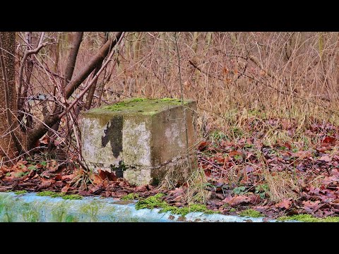 Vergessene Orte DAS SCHWIMMBAD "ZUM SCHLAFENDEN WAL" Lost Places Verlassene Orte