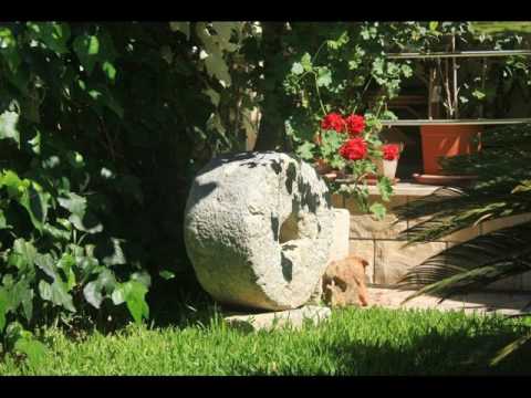 Apartment Orebic 4525c - Hotel in Orebic, Croatia