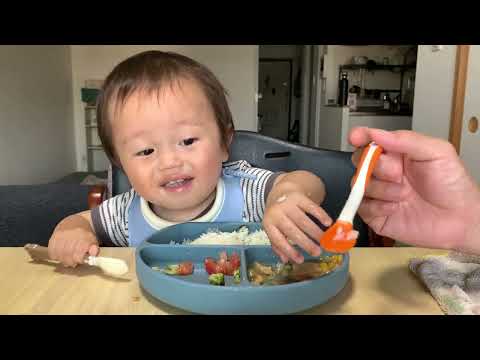 Rice, hamburger, broccoli and tomato salad, miso soup. Breakfast for a one year old!