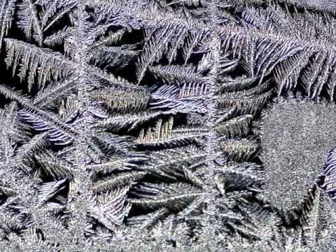 Eisblume - Eisblumen (2)