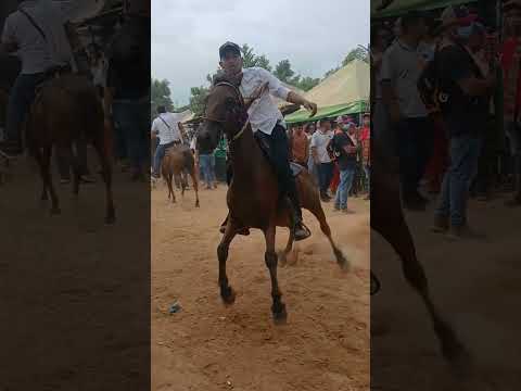 San Andrés de Sotavento 🔥