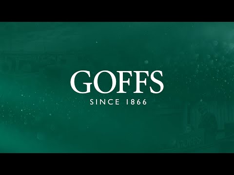 November Foal Sale 2025 - Day 3